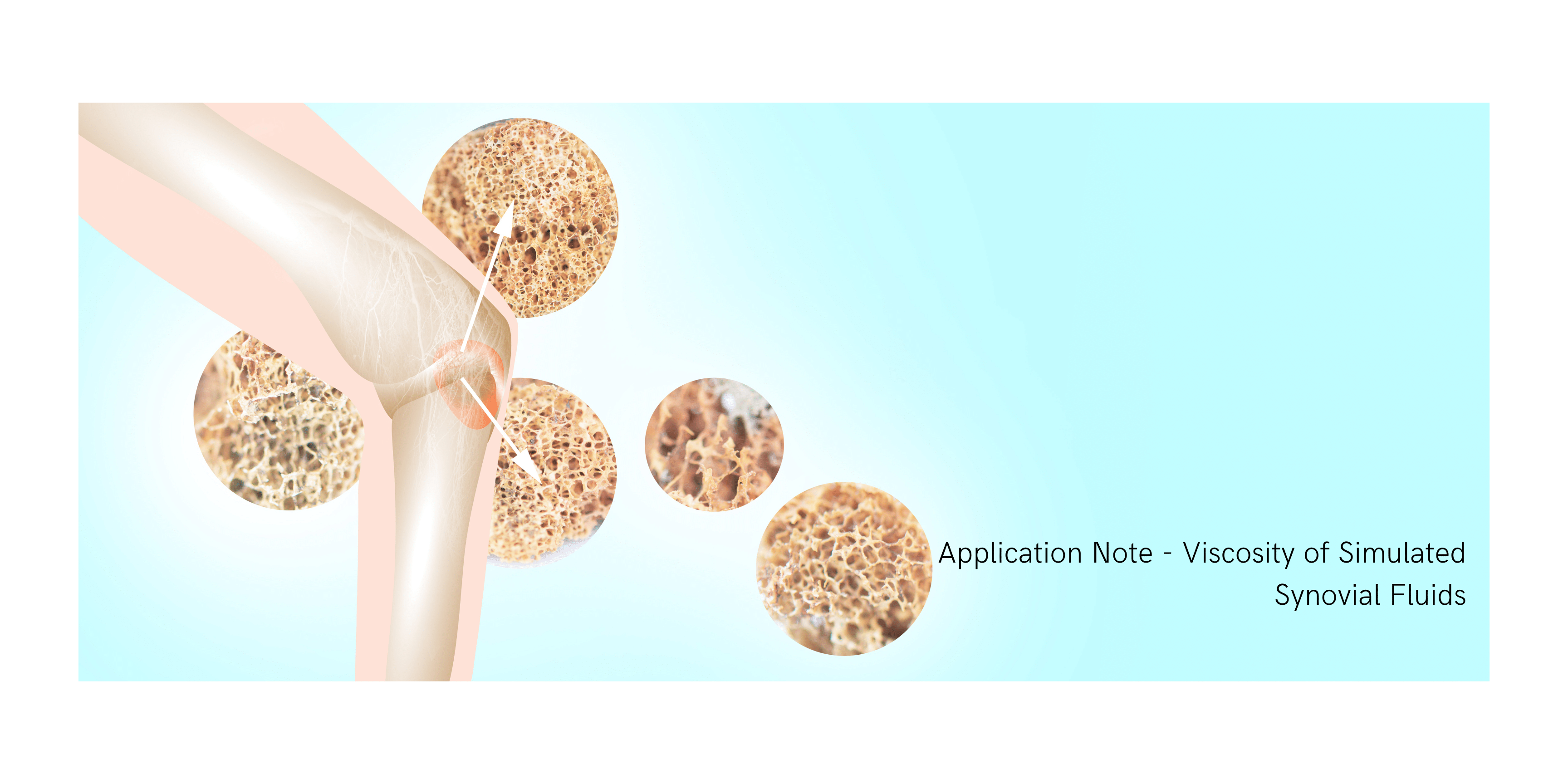 Synovial Fluids and the Importance of Viscosity A Comprehensive Guide